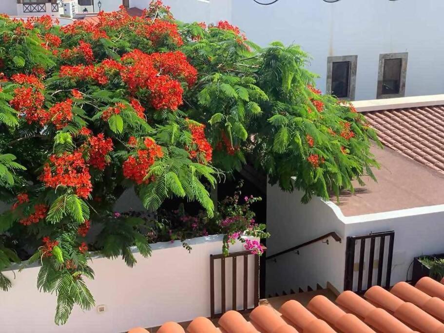 Villa Garoe Puerto de las Nieves Exteriér fotografie